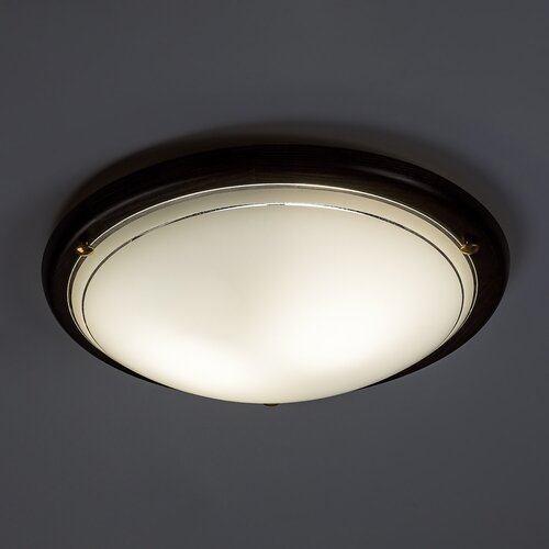 Ufo (5427)