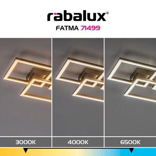 Fatma (71499)