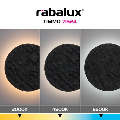 Timmo (71524)