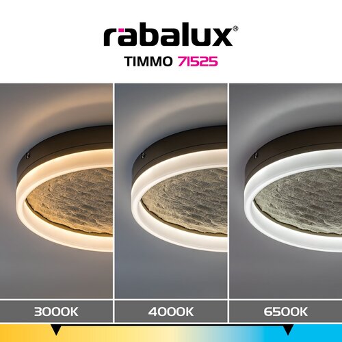 Timmo (71525)