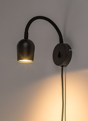 Lianet (73113)