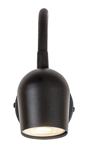 Lianet (73113)