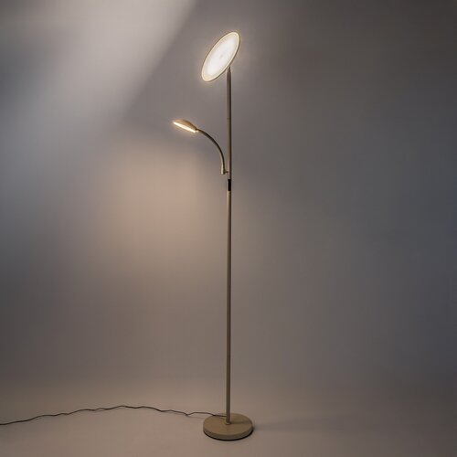 Halina (74083)