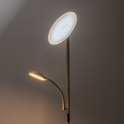 Halina (74083)