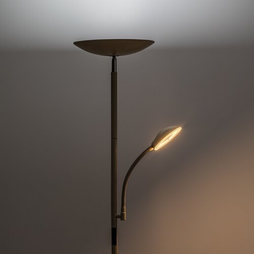 Halina (74083)