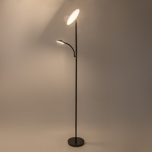 Halina (74084)