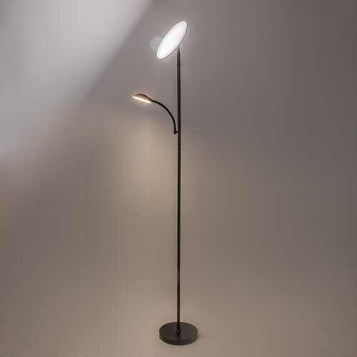 Halina (74084)