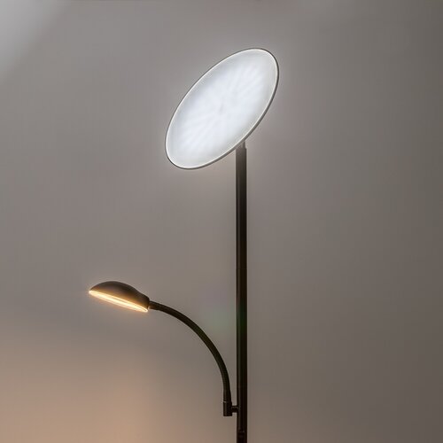 Halina (74084)