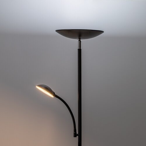 Halina (74084)