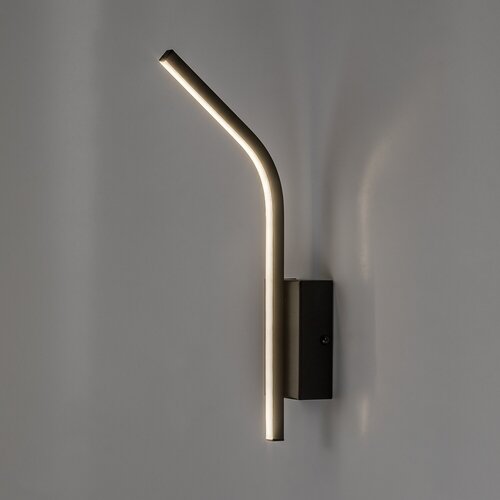 Tilmann (75088)