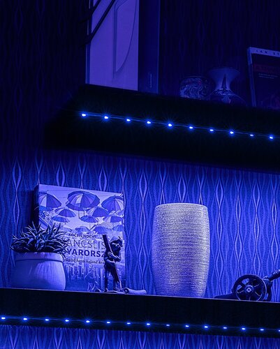 LED Strip (79023)